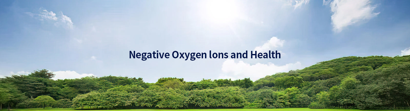 🌿Negative Oxygen Ions and Health