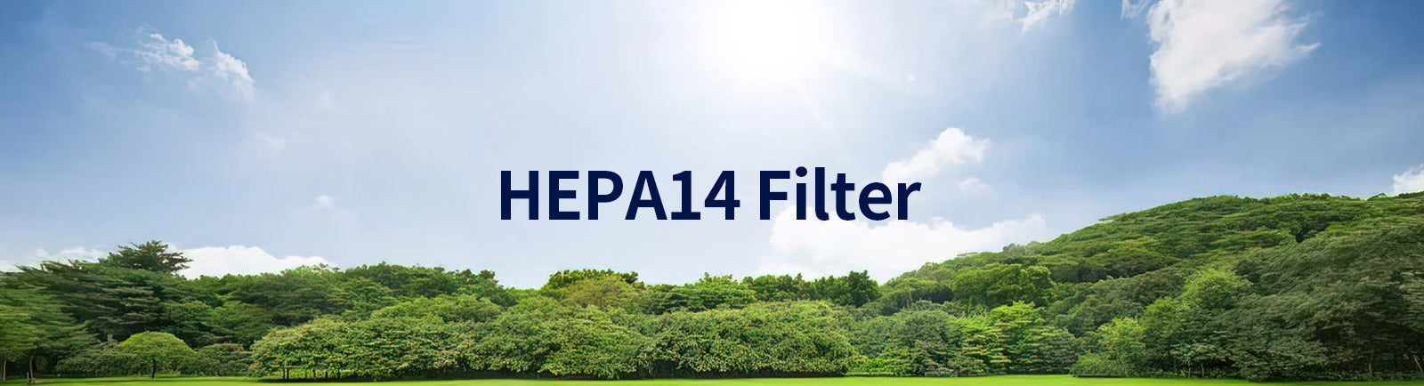 🌿Understand HEPA Filters