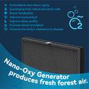 Burtran Replacement Air Filter Set for Nano-Oxy A31/A32 Purifiers: H12 HEPA + TVOC Filter + Medical Grade HEPA 14 - Balanced PM2.5 & Odor Removal