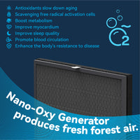 Burtran Replacement Air Filter Set for Nano-Oxy A31/A32 Purifiers: H12 HEPA + TVOC Filter + Medical Grade HEPA 14 - Balanced PM2.5 & Odor Removal